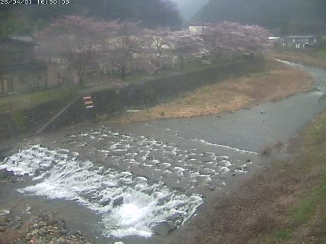 板井原川１2026/04/01 17:40:00