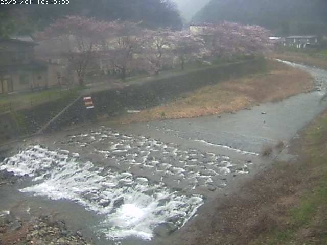 板井原川１2026/04/01 17:40:00