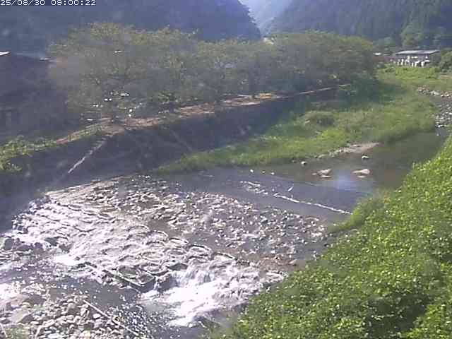 板井原川１2025/08/31 9:10:00