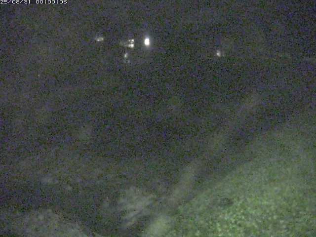 板井原川１2025/08/31 9:10:00