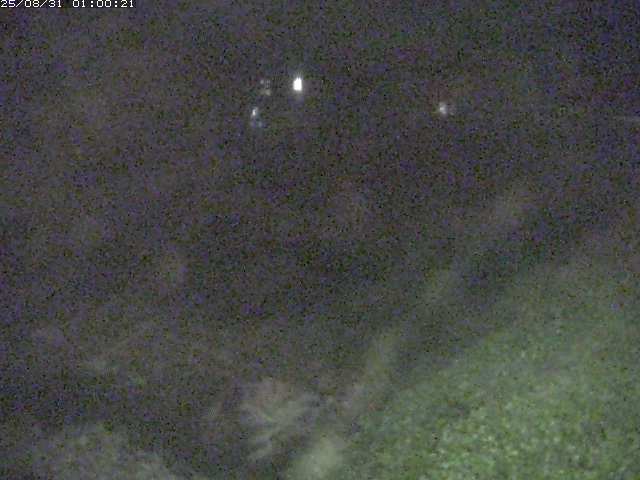 板井原川１2025/08/31 9:10:00
