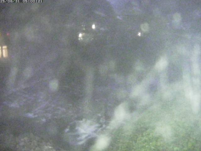 板井原川１2025/08/31 9:10:00