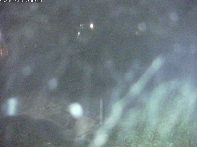 板井原川１2025/09/14 14:00:00