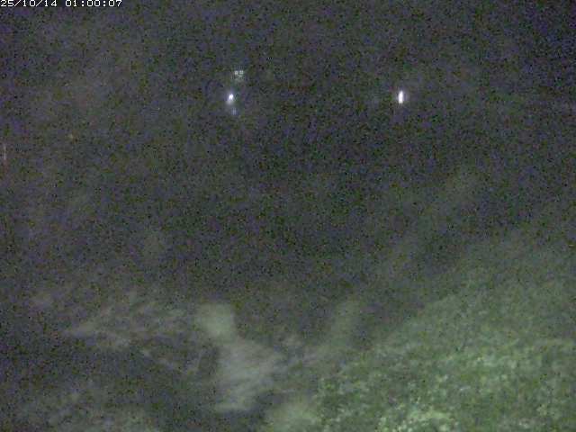 板井原川１2025/10/14 15:40:00