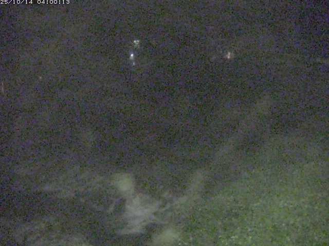板井原川１2025/10/14 15:40:00