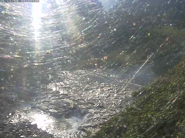 板井原川１2025/11/09 0:50:00