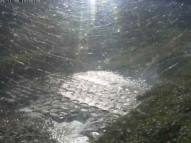 板井原川１2025/11/09 0:50:00