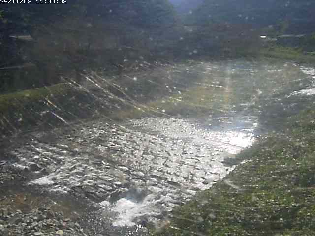 板井原川１2025/11/09 0:50:00