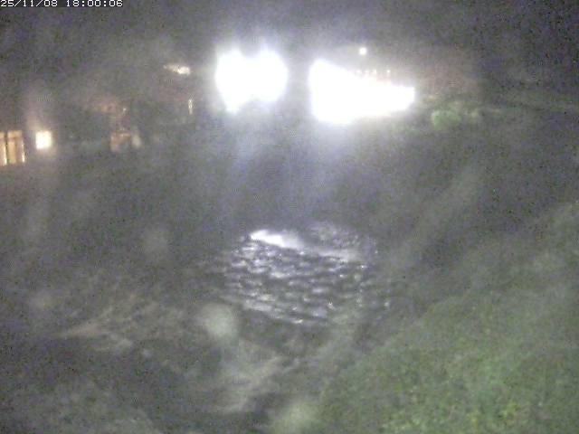 板井原川１2025/11/09 0:50:00