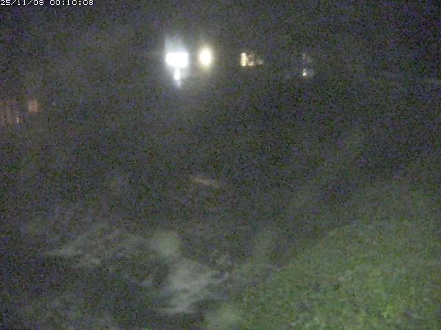 板井原川１2025/11/09 0:50:00