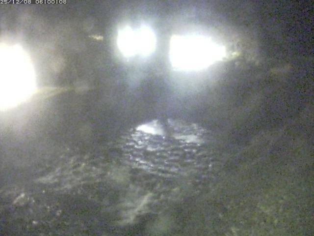 板井原川１2025/12/09 1:50:00