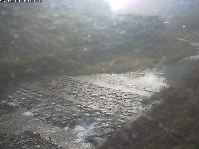 板井原川１2025/12/09 1:50:00