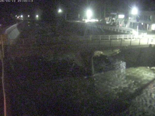 佐治川１０2026/03/11 13:50:00