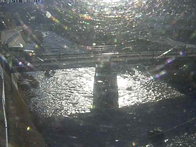 佐治川１０2026/03/11 13:50:00