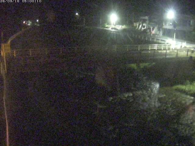 佐治川１０2026/09/16 16:40:00