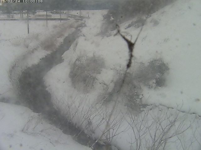 旧三谷川１2026/02/25 2:30:00