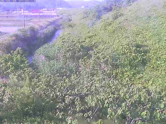旧三谷川１2025/06/06 1:00:00