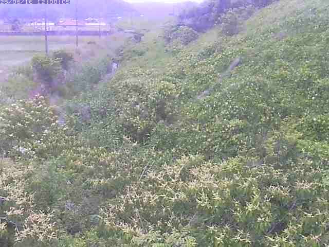 旧三谷川１2026/06/17 12:00:00