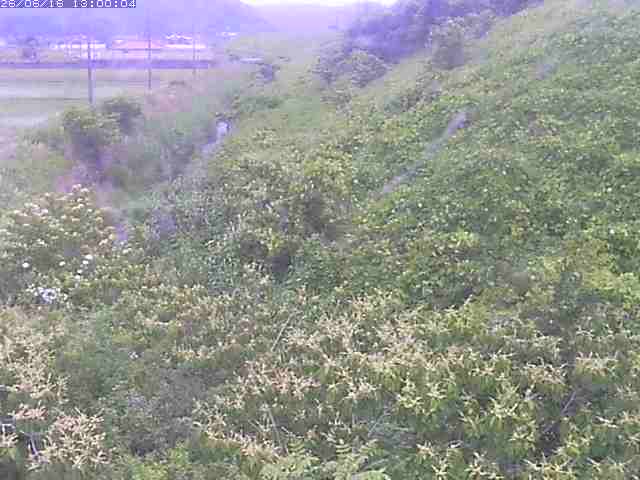 旧三谷川１2026/06/17 12:00:00
