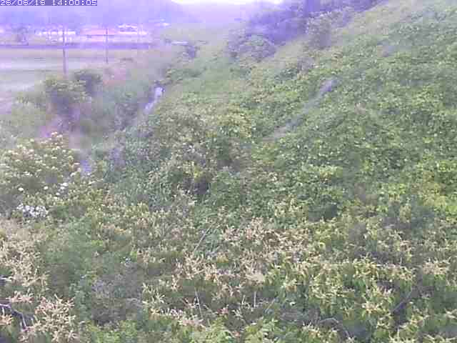 旧三谷川１2026/06/17 12:00:00