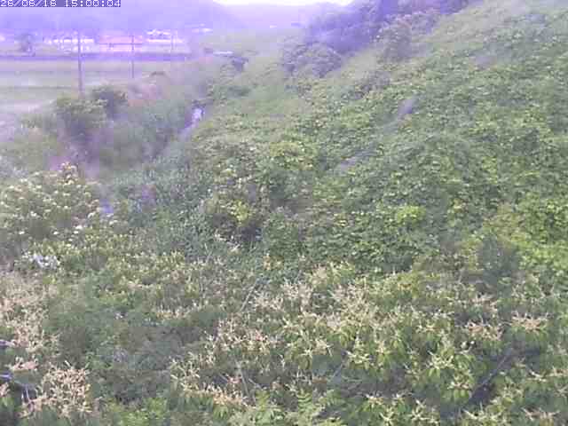 旧三谷川１2026/06/17 12:00:00