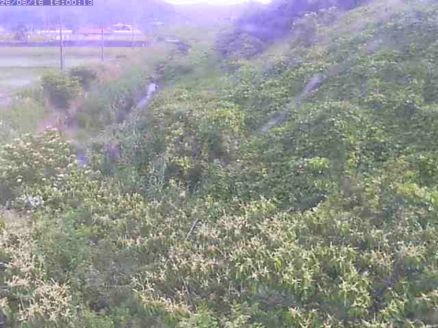 旧三谷川１2026/06/17 12:00:00