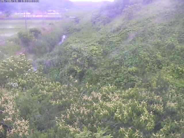 旧三谷川１2026/06/17 12:00:00