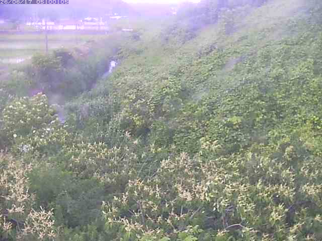旧三谷川１2026/06/17 12:00:00