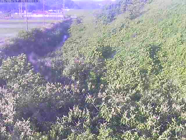 旧三谷川１2026/06/17 12:00:00