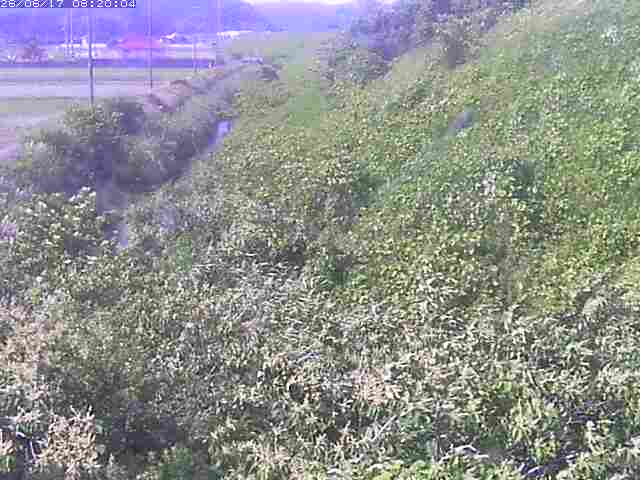 旧三谷川１2026/06/17 12:00:00