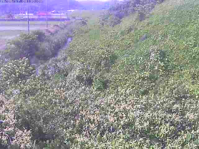 旧三谷川１2026/06/17 12:00:00
