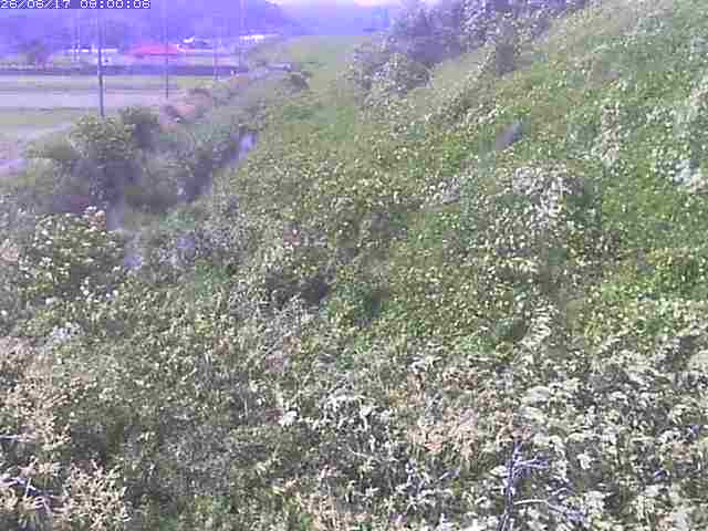 旧三谷川１2026/06/17 12:00:00