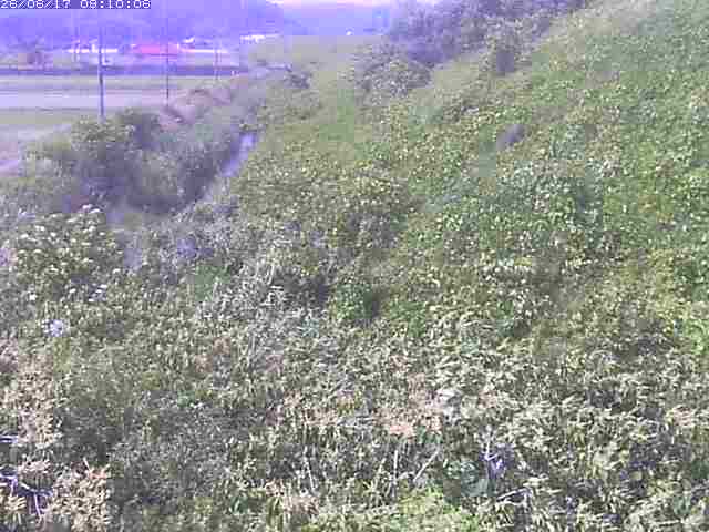旧三谷川１2026/06/17 12:00:00
