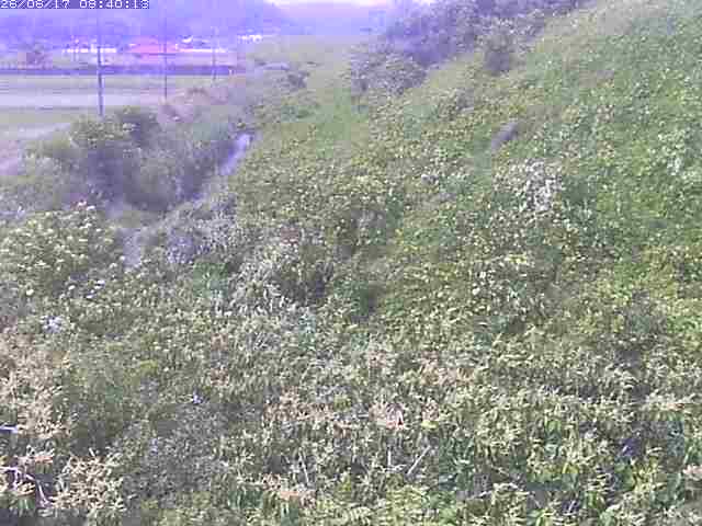 旧三谷川１2026/06/17 12:00:00