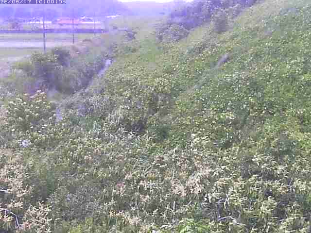 旧三谷川１2026/06/17 12:00:00