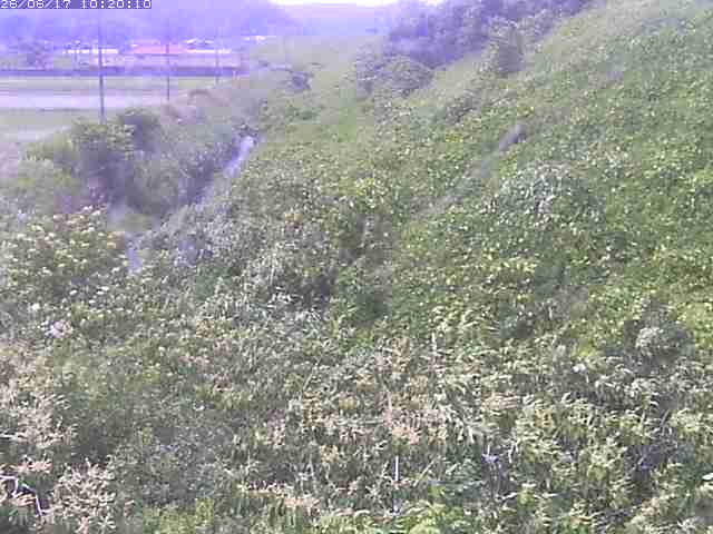 旧三谷川１2026/06/17 12:00:00