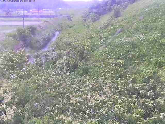 旧三谷川１2026/06/17 12:00:00