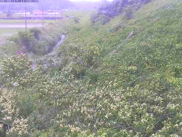 旧三谷川１2026/06/17 12:00:00