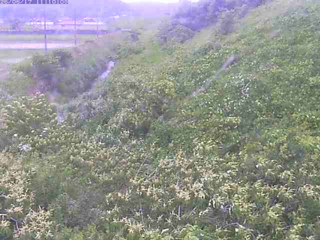 旧三谷川１2026/06/17 12:00:00