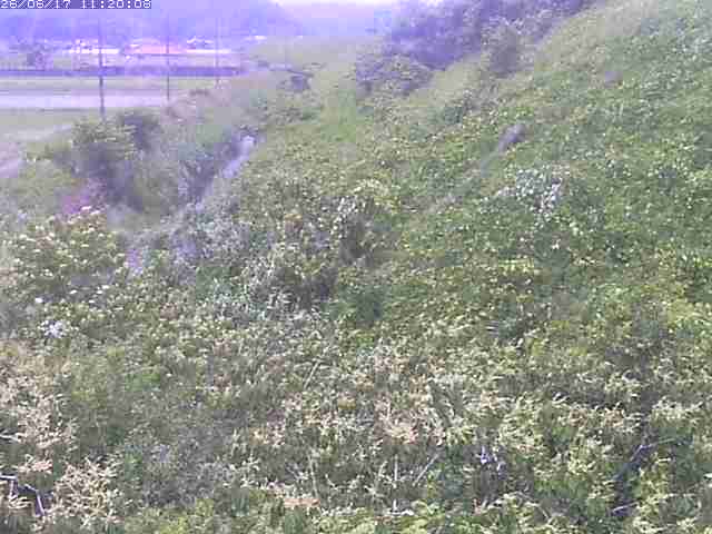 旧三谷川１2026/06/17 12:00:00