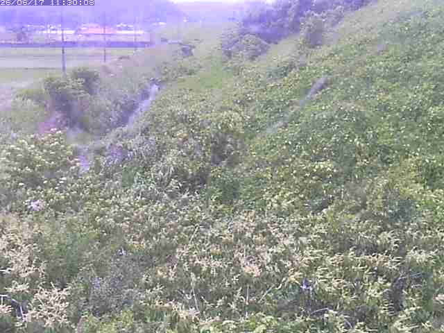 旧三谷川１2026/06/17 12:00:00