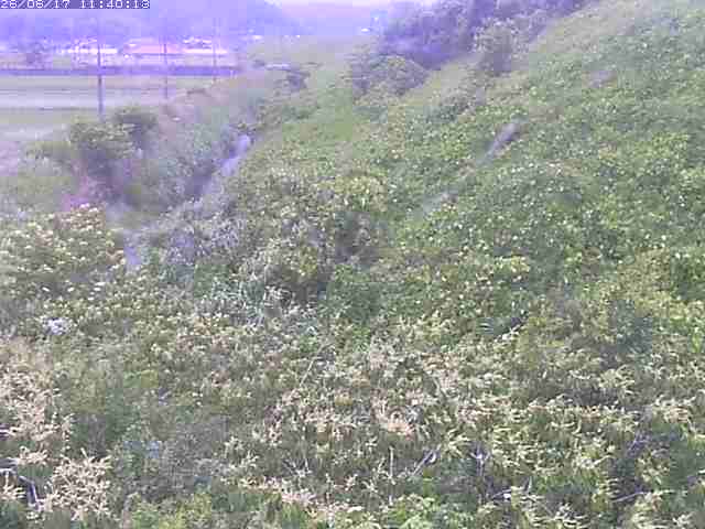 旧三谷川１2026/06/17 12:00:00