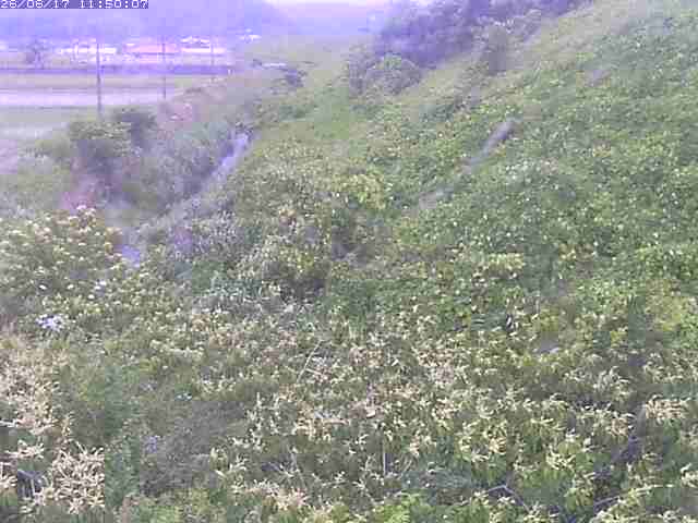 旧三谷川１2026/06/17 12:00:00