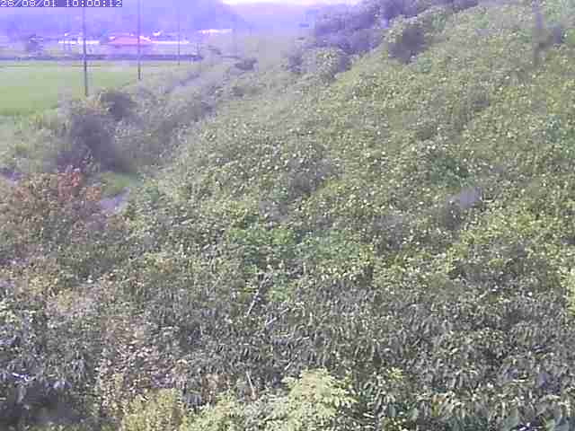 旧三谷川１2026/08/01 20:50:00