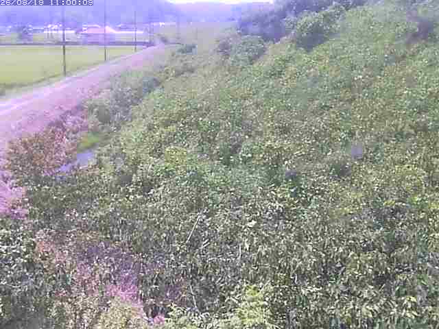 旧三谷川１2026/08/20 8:30:00