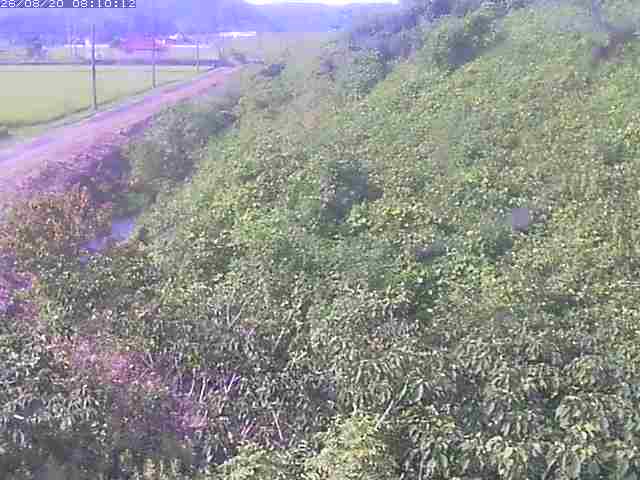 旧三谷川１2026/08/20 8:30:00