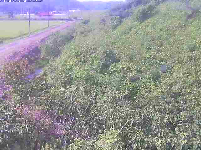 旧三谷川１2026/08/20 8:30:00