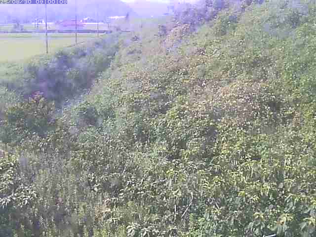 旧三谷川１2025/08/31 9:10:00