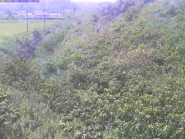 旧三谷川１2025/08/31 9:10:00