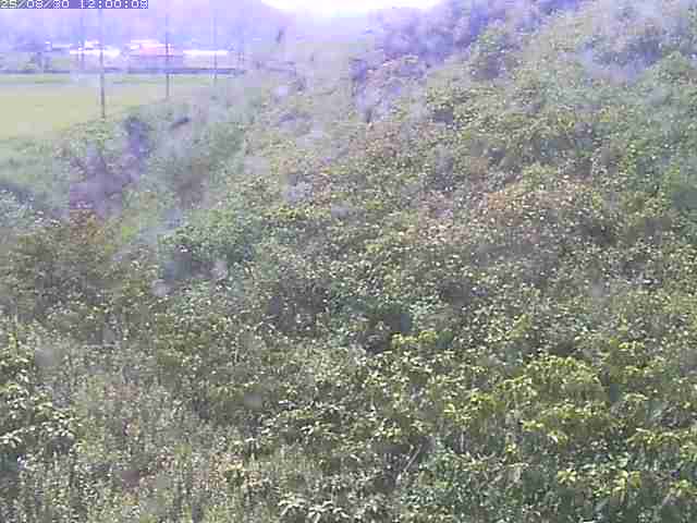 旧三谷川１2025/08/31 9:10:00